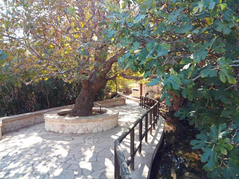Апартаменты Dimitra Apartments Zakros City *